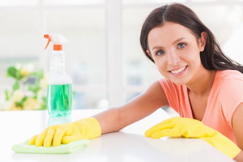 Professional Bloomsbury carpet cleaners working on a residential carpet