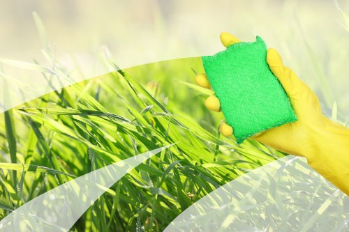 Professional sofa cleaning in a Bloomsbury living room