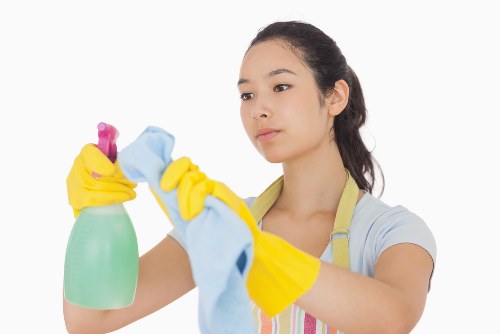 Professional upholstery cleaning for a sofa in Bloomsbury