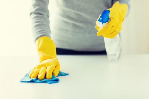 Clean refreshed carpet after steam carpet cleaning service