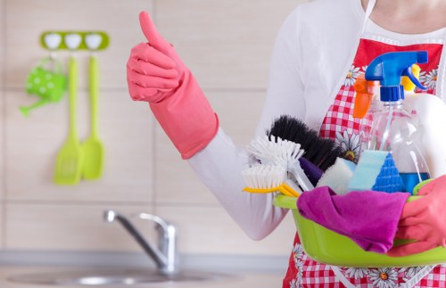 DIY stain removal supplies for Bloomsbury homes