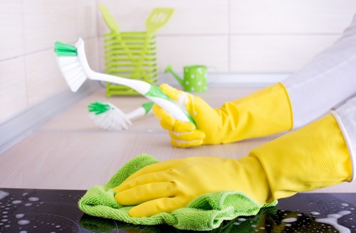 Deep carpet cleaning process in a Bloomsbury property