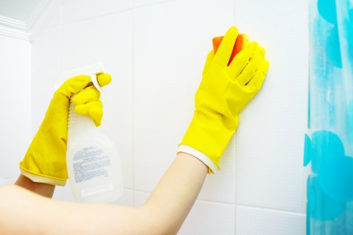 Professional cleaner treating a carpet area with cleaning tools