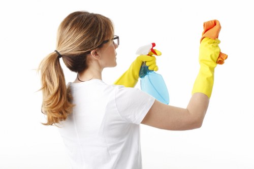 Customer issue details being assessed for a carpet cleaning service