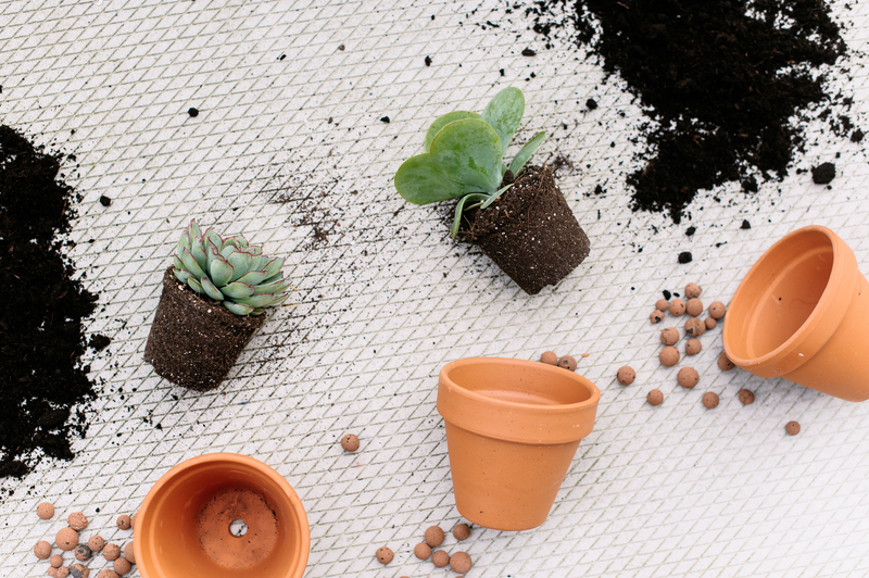 deep cleaning eco-friendly